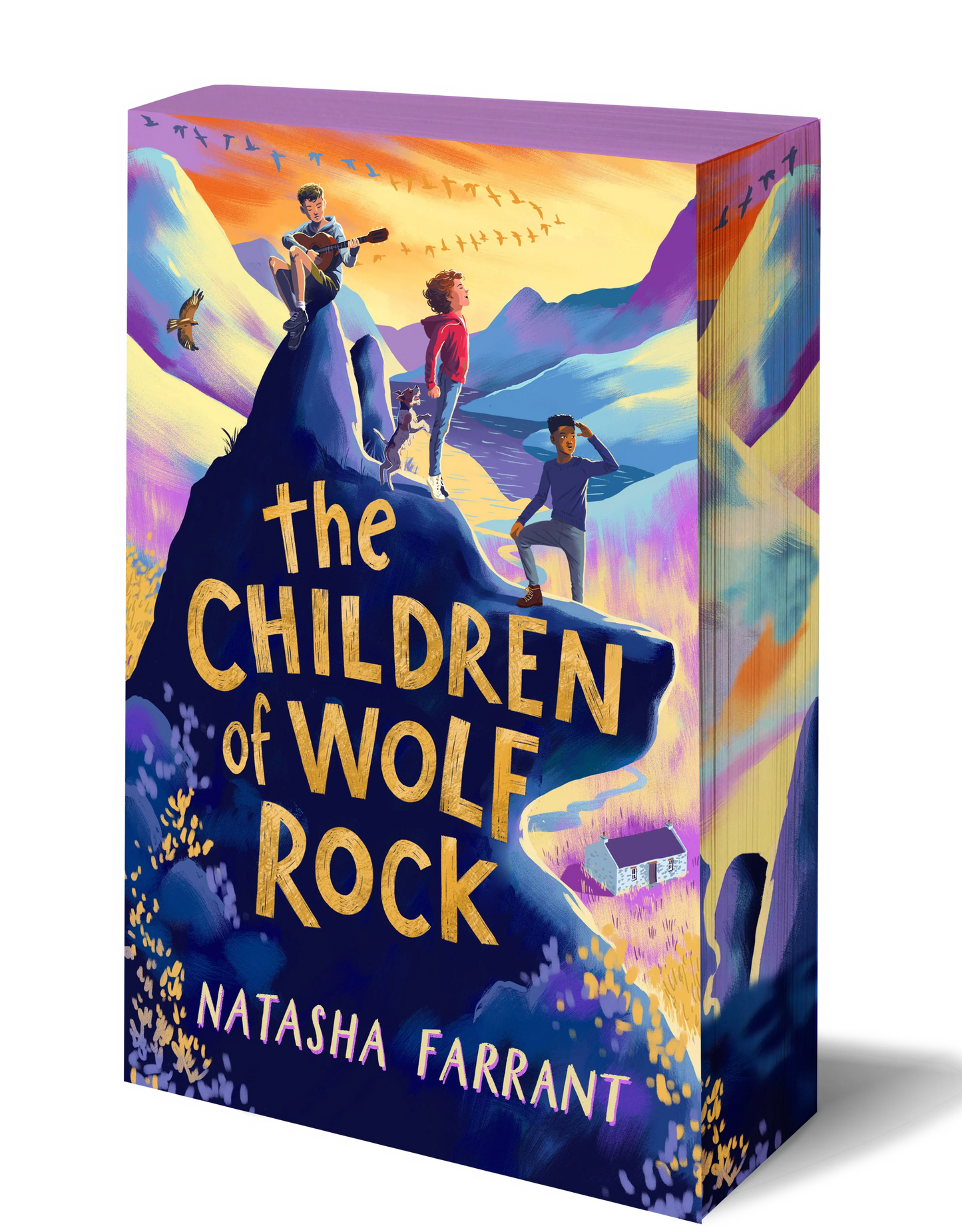 The Children of Wolf Rock - Independent Bookshops Exclusive Edition - Book from The Bookhouse Broughty Ferry- Just £7.19! Shop now