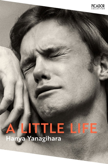 A Little Life - Book from The Bookhouse Broughty Ferry- Just £10.99! Shop now