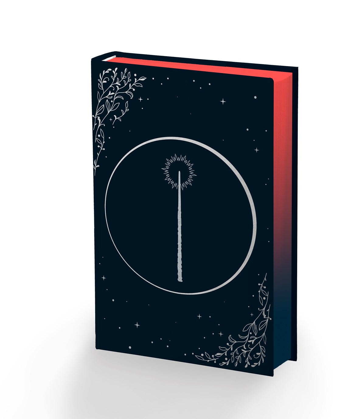 Silvercloak - SIGNED EXCLUSIVE EDITION - Book from The Bookhouse Broughty Ferry- Just £17.09! Shop now