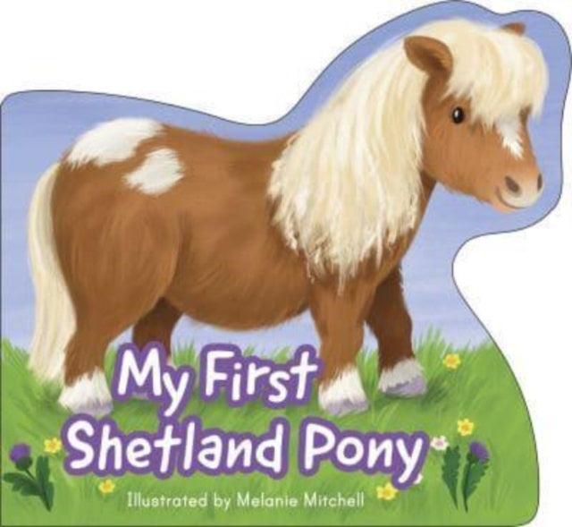 My First Shetland Pony - Book from The Bookhouse Broughty Ferry- Just £5.99! Shop now