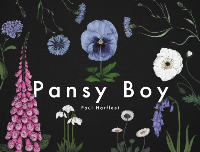 Pansy Boy - Book from The Bookhouse Broughty Ferry- Just £9.99! Shop now