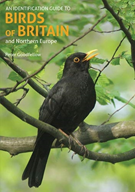 An Identification Guide to Birds of Britain and Northern Europe (2nd edition) - Book from The Bookhouse Broughty Ferry- Just £9.99! Shop now