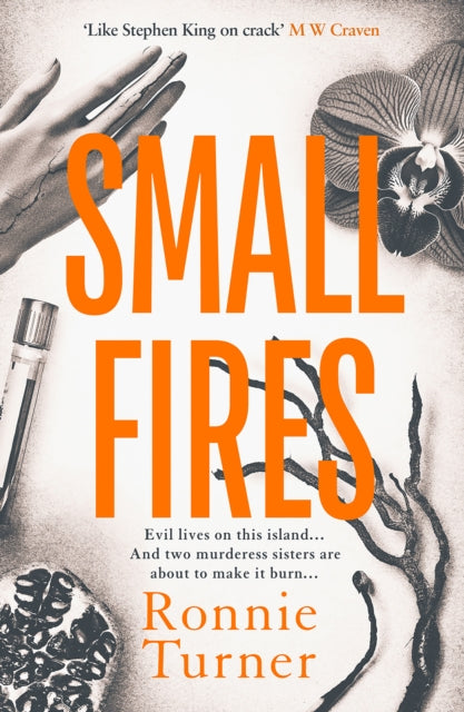 Small Fires : This years most unsettling, hypnotic contemporary gothic thriller - Book from The Bookhouse Broughty Ferry- Just £9.99! Shop now
