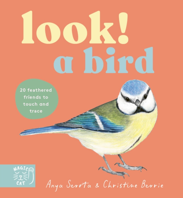 Look! A Bird! - Book from The Bookhouse Broughty Ferry- Just £9.99! Shop now