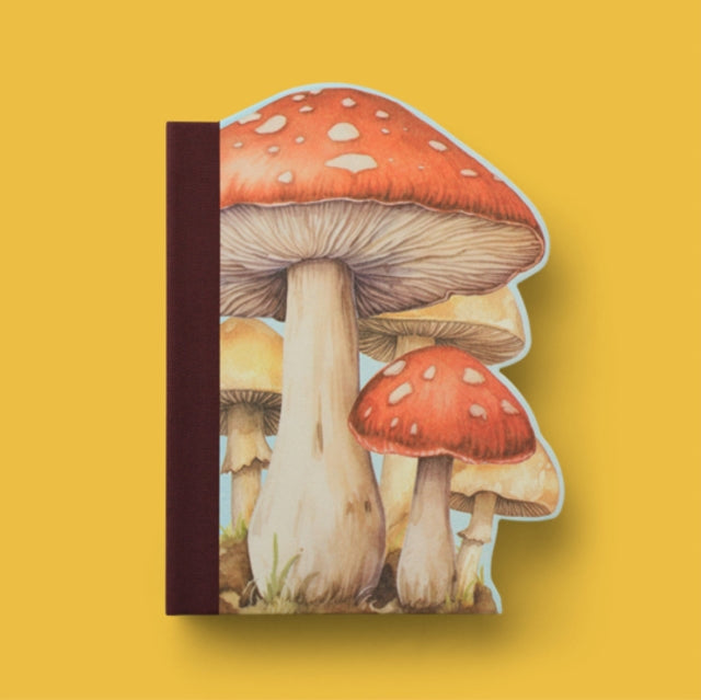Eclectionery Notable Books - Toadstools - Gifts and Toys from The Bookhouse Broughty Ferry- Just £19.99! Shop now