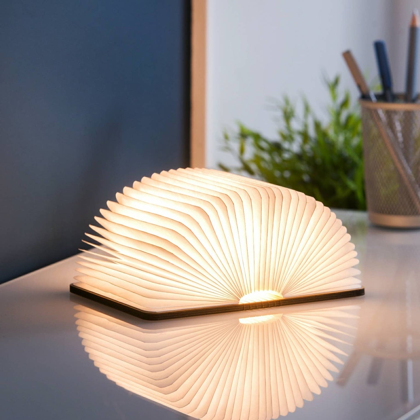 Natural Wood Smart Book Light -  from The Bookhouse Broughty Ferry- Just £34.99! Shop now