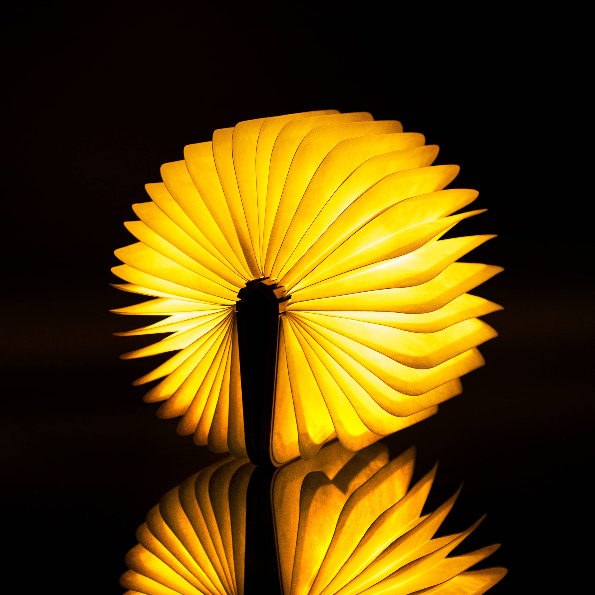 Natural Wood Smart Book Light -  from The Bookhouse Broughty Ferry- Just £34.99! Shop now