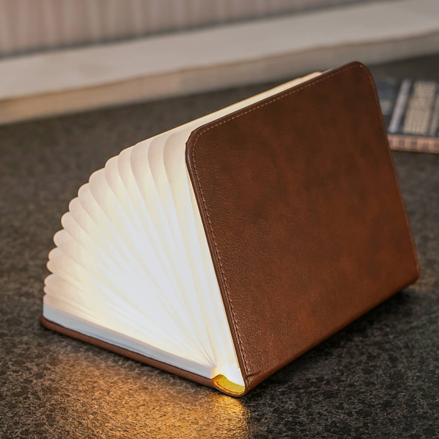Bonded Black Leather Smart Book Light -  from The Bookhouse Broughty Ferry- Just £34.99! Shop now