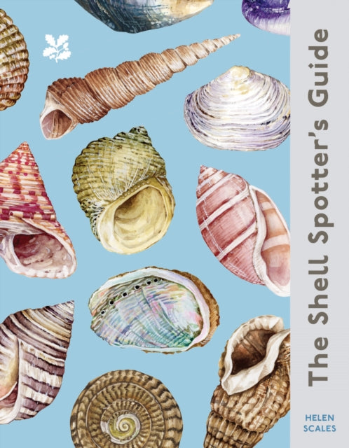 The Shell Spotter’s Guide - Book from The Bookhouse Broughty Ferry- Just £9.99! Shop now