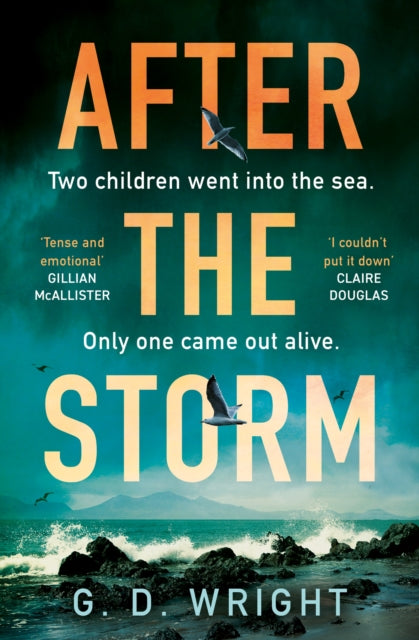 After the Storm - Book from The Bookhouse Broughty Ferry- Just £8.99! Shop now