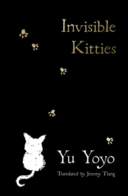 Invisible Kitties - SIGNED COPY - Book from The Bookhouse Broughty Ferry- Just £9.99! Shop now