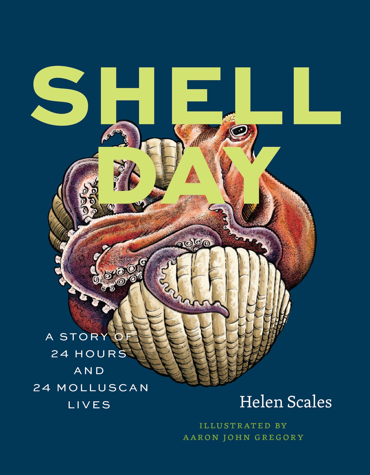 Shell Day : A Story of 24 Hours and 24 Molluscan Lives - Book from The Bookhouse Broughty Ferry- Just £15! Shop now