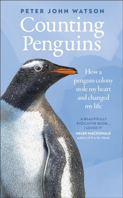Counting Penguins - Book from The Bookhouse Broughty Ferry- Just £20! Shop now