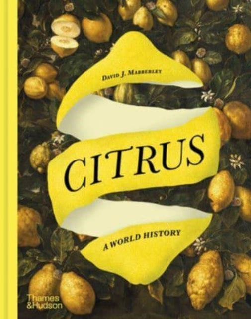 Citrus - Book from The Bookhouse Broughty Ferry- Just £35! Shop now