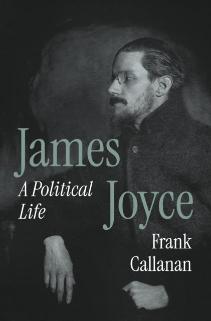 James Joyce : A Political Life - Book from The Bookhouse Broughty Ferry- Just £38! Shop now