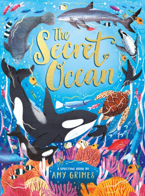 The Secret Ocean - Book from The Bookhouse Broughty Ferry- Just £12.99! Shop now