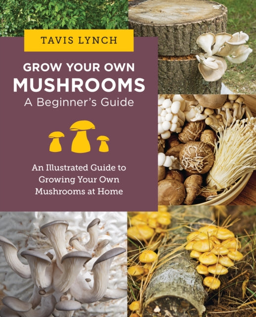 Grow Your Own Mushrooms: A Beginner's Guide - Book from The Bookhouse Broughty Ferry- Just £10.99! Shop now