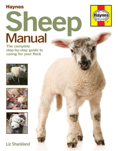 Sheep Manual - Book from The Bookhouse Broughty Ferry- Just £25! Shop now