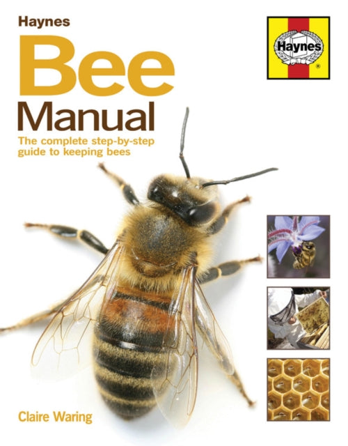 Bee Manual - Book from The Bookhouse Broughty Ferry- Just £25! Shop now