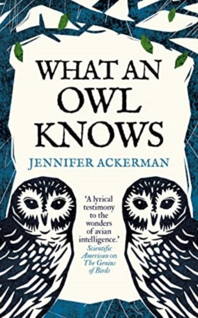 What an Owl Knows - Book from The Bookhouse Broughty Ferry- Just £10.99! Shop now