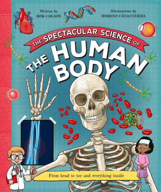 The Spectacular Science  of the Human Body : From head to toe and everything inside - Book from The Bookhouse Broughty Ferry- Just £8.99! Shop now