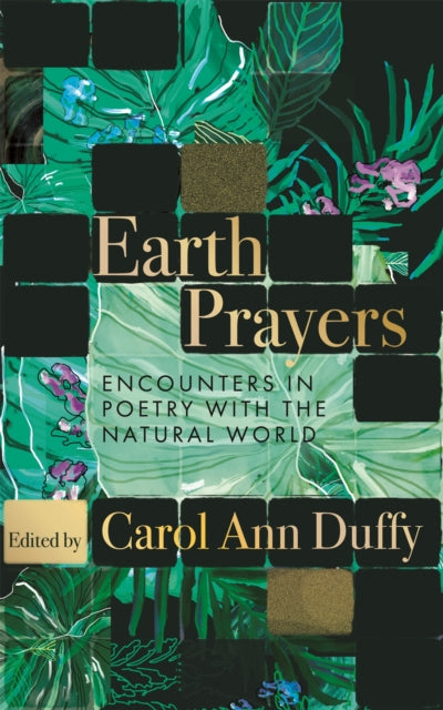 Earth Prayers : Encounters in Poetry with the Natural World - Book from The Bookhouse Broughty Ferry- Just £16.99! Shop now