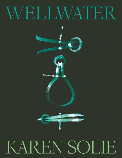 Wellwater - Book from The Bookhouse Broughty Ferry- Just £12.99! Shop now