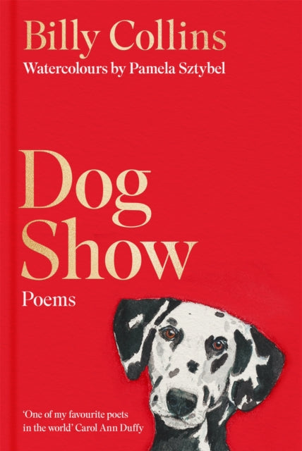 Dog Show - Book from The Bookhouse Broughty Ferry- Just £14.99! Shop now