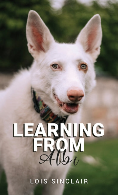 Learning from Albi - Book from The Bookhouse Broughty Ferry- Just £7.99! Shop now