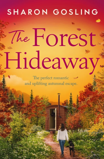The Forest Hideaway - Book from The Bookhouse Broughty Ferry- Just £9.99! Shop now