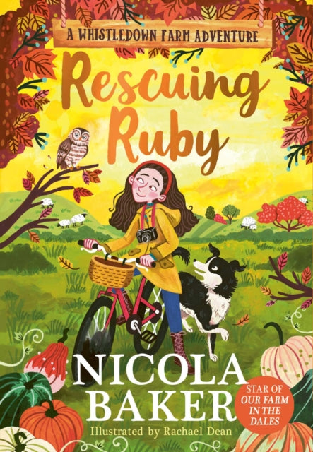 Rescuing Ruby : Volume 2 - Book from The Bookhouse Broughty Ferry- Just £7.99! Shop now