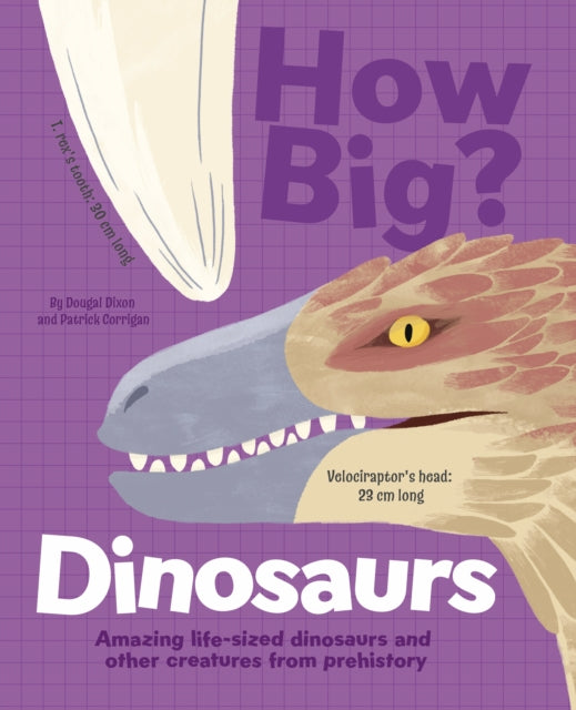 How Big? Dinosaurs : Amazing Life-Sized Dinosaurs and Other Creatures from Prehistory - Book from The Bookhouse Broughty Ferry- Just £9.99! Shop now