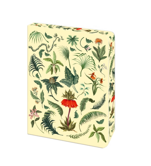 The Fern Journal : Blank Lined Notebook - Book from The Bookhouse Broughty Ferry- Just £12.99! Shop now
