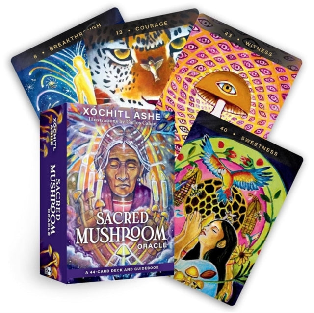 Sacred Mushroom Oracle - Book from The Bookhouse Broughty Ferry- Just £17.99! Shop now
