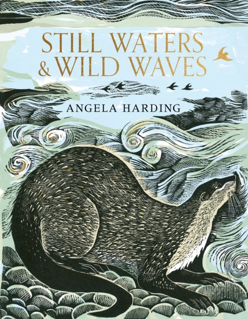 Still Waters & Wild Waves - Book from The Bookhouse Broughty Ferry- Just £25! Shop now