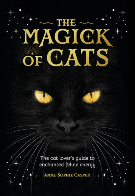 The Magick of Cats - Book from The Bookhouse Broughty Ferry- Just £14.99! Shop now