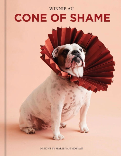 Cone of Shame - Book from The Bookhouse Broughty Ferry- Just £20! Shop now