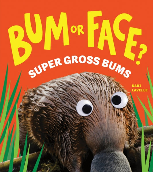 Bum or Face? Super Gross Bums : The Outrageous Animal Guessing Game Book for Kids! (Bum or Face Book 3) - Book from The Bookhouse Broughty Ferry- Just £6.99! Shop now