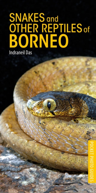 Snakes and Other Reptiles of Borneo - Book from The Bookhouse Broughty Ferry- Just £10.99! Shop now