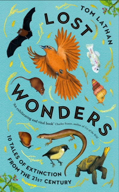 Lost Wonders : 10 Tales of Extinction from the 21st Century - Book from The Bookhouse Broughty Ferry- Just £18.99! Shop now