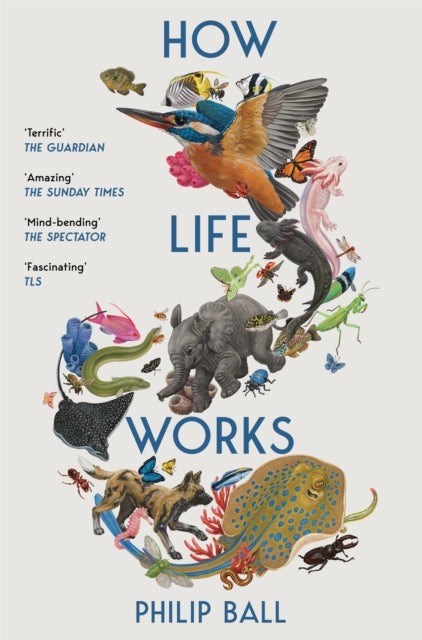 How Life Works : A User’s Guide to the New Biology - Book from The Bookhouse Broughty Ferry- Just £12.99! Shop now