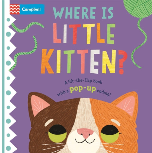Where is Little Kitten? : The lift-the-flap book with a pop-up ending! - Book from The Bookhouse Broughty Ferry- Just £6.99! Shop now