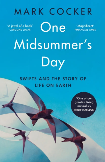 One Midsummer's Day - Book from The Bookhouse Broughty Ferry- Just £10.99! Shop now