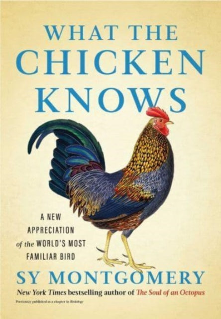 What the Chicken Knows : A New Appreciation of the World's Most Familiar Bird - Book from The Bookhouse Broughty Ferry- Just £12.99! Shop now