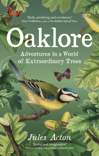 Oaklore - Book from The Bookhouse Broughty Ferry- Just £18.99! Shop now