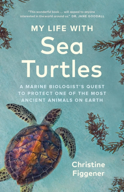 My Life with Sea Turtles - Book from The Bookhouse Broughty Ferry- Just £18.99! Shop now