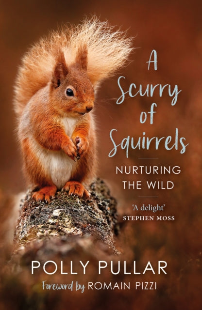 A Scurry of Squirrels : Nurturing The Wild - Book from The Bookhouse Broughty Ferry- Just £9.99! Shop now