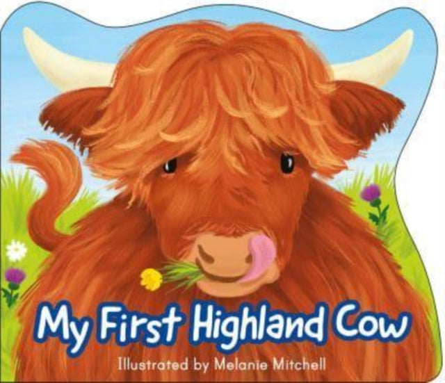 My First Highland Cow - Book from The Bookhouse Broughty Ferry- Just £5.99! Shop now