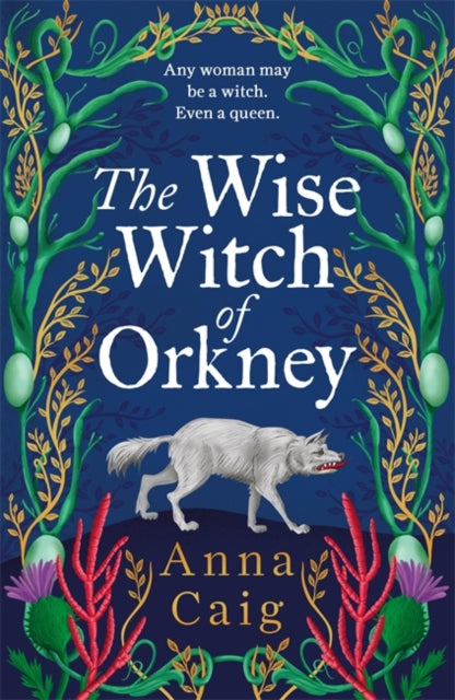 The Wise Witch of Orkney : A spell-binding debut novel about Scotland’s witch-hunting hysteria - Book from The Bookhouse Broughty Ferry- Just £16.99! Shop now