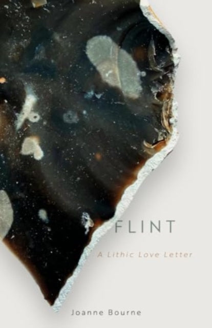 Flint - Book from The Bookhouse Broughty Ferry- Just £14.99! Shop now